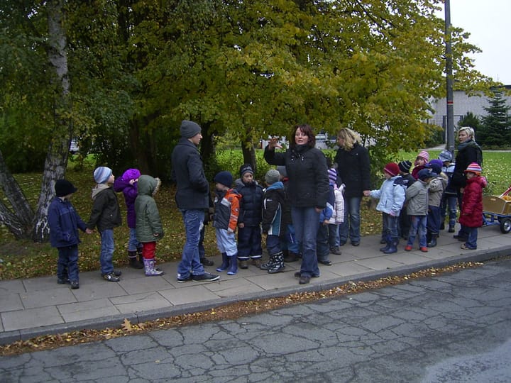 Foto aus Narzissen im Frühling · 2009