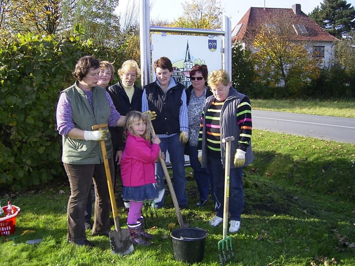 Foto aus Narzissen im Frühling · 2009