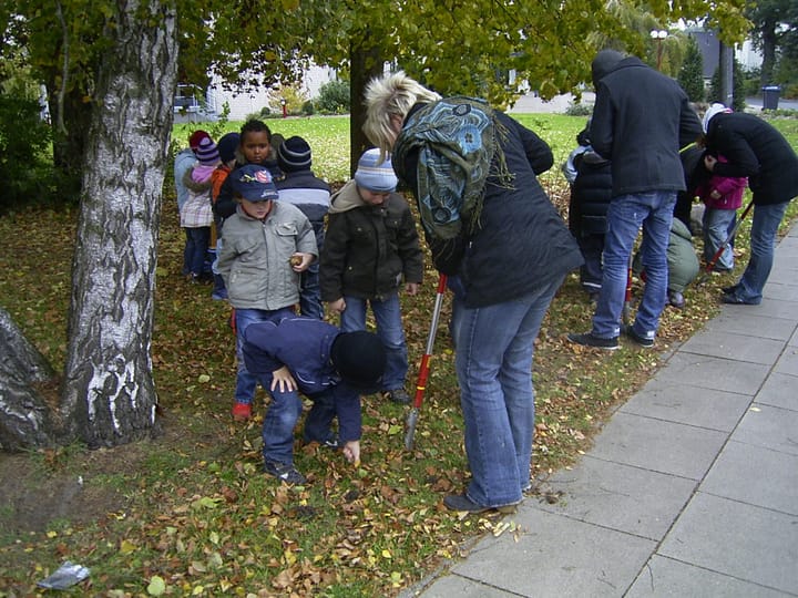 Foto aus Narzissen im Frühling · 2009
